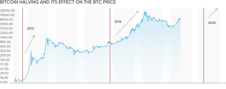 Bitcoin halving 2020 countdown binance