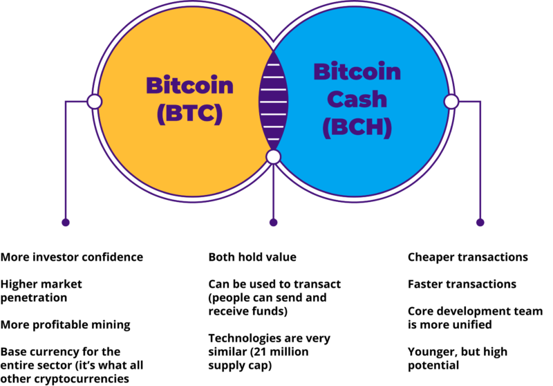 Relationship between btc and bch ethereum price graph cad